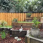 3 Pieces Avec Terrasse Arboree *